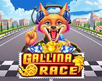 Gallina Race